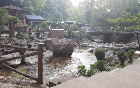 Hutan Lipur Lata Jarum Image