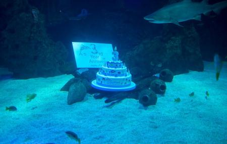 Fakieh Aquarium Image
