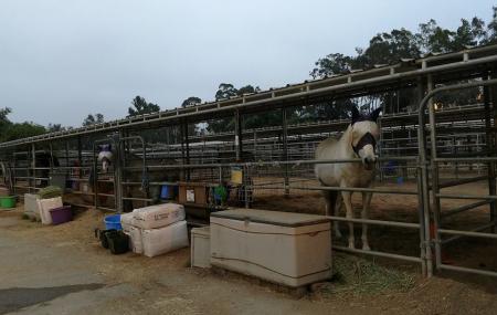 Serrano Creek Ranch Equestrian Center Image