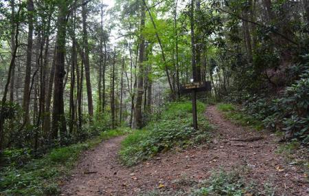 Jackson Chapel Trailhead - Pinhoti Trail Image