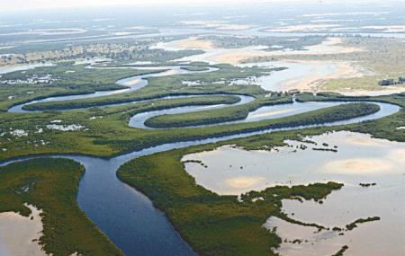 Delta Du Saloum National Park Image