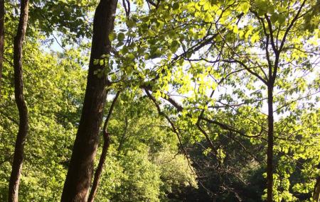 Demarest Kill County Park Image