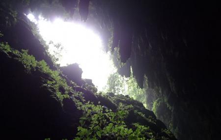 Cavernas De Camuy Image