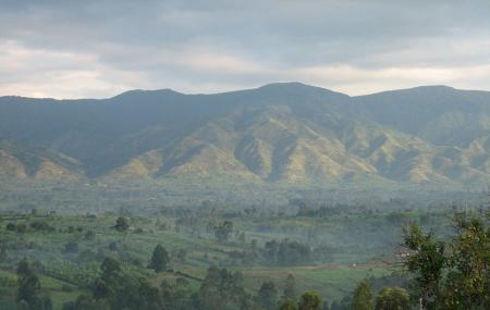 Rwenzori Moutains National Park Image