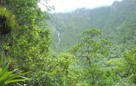 Celaque National Park Image