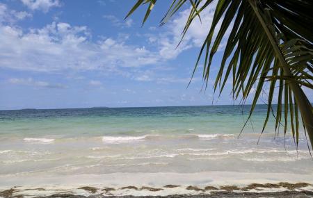 Playa Medio Mundo Ceiba Image