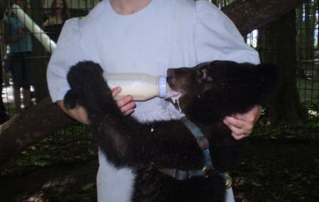 Maple Lane Wildlife Farm Image