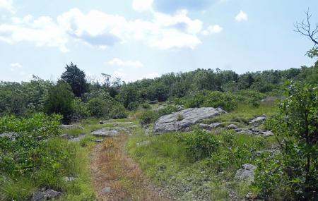 Buford Mountain Conservation Area Image
