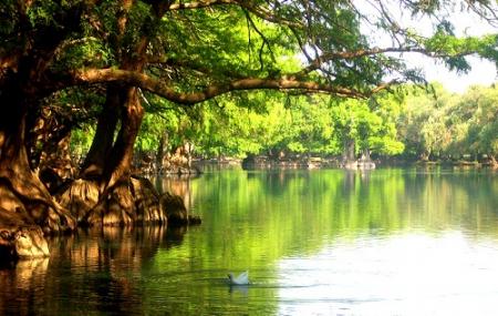 Lago De Camecuaro National Park Image