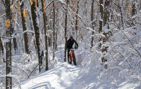 Elm Creek Singletrack Trail Image