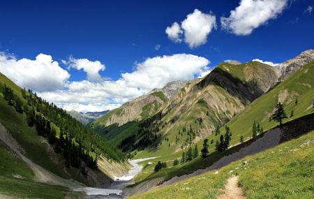 Swiss Alps Image