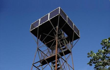 Mount Davis Observation Tower Image
