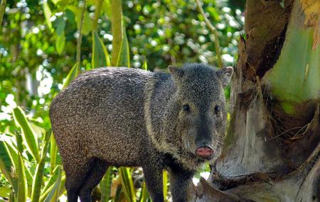 Zoologico Petencito Image