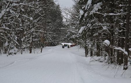Winona State Forest Image