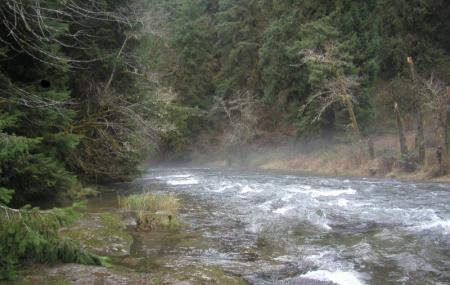 Drift Creek Wilderness Image
