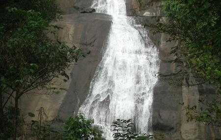 Thusharagiri Falls Image
