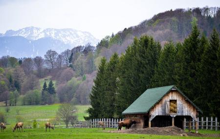 Valea Zimbrilor Image