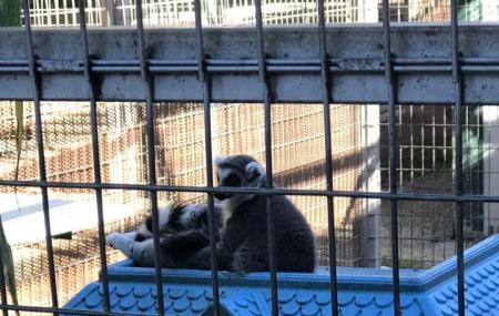 The Greater Wynnewood Exotic Animal Park Image
