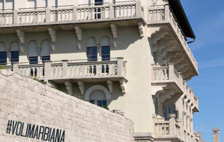 Arbiana Image