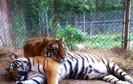 Riverside Wildlife Center Image