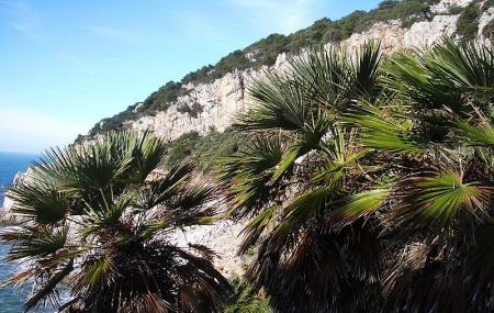 Parco Nazionale Del Circeo (sabaudia) Image