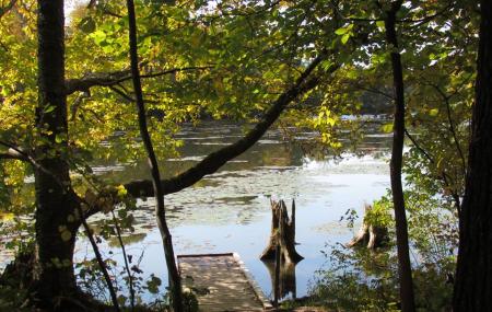 Springwater Conservation Area Image