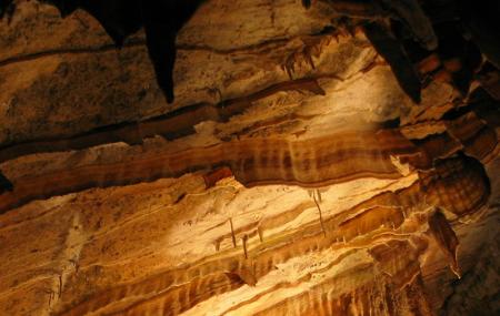 Gunns Plains Caves Image
