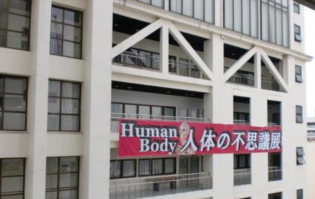 Human Body Museum Image