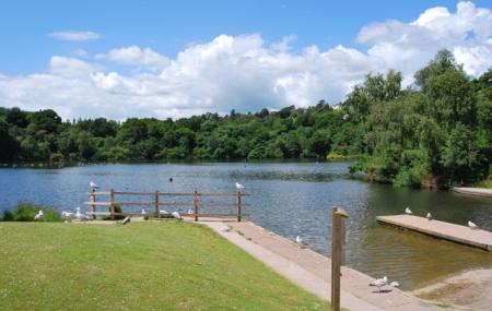 Decoy Country Park Image