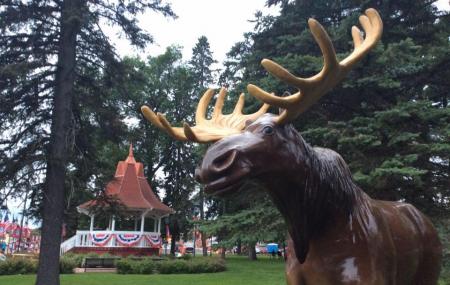 Honk The Moose Image