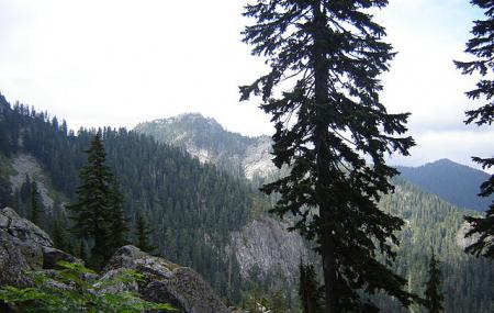 Mount Seymour Provincial Park Image