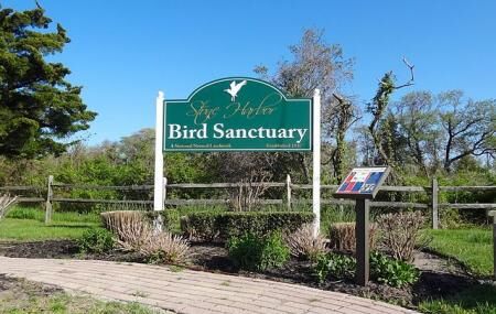 Stone Harbor Bird Sanctuary Image