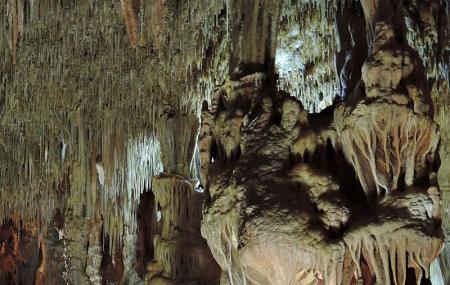 Cave Of Petralona Image