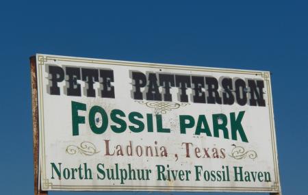 Ladonia Fossil Park Image