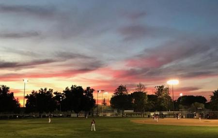 Beaumont Youth Baseball Image
