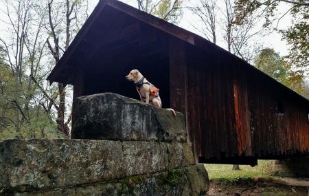 Brush Creek County Park Image
