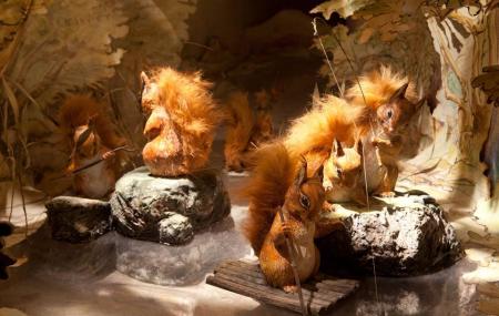 The World Of Beatrix Potter Attraction Image