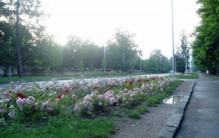 Park Rozarium Image