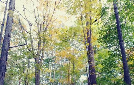 Longwood Park Image