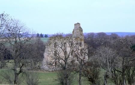 Conzie Castle (bognie Castle) Image