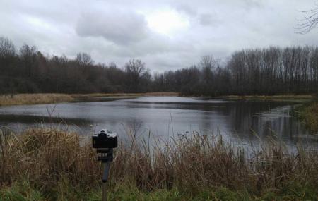 Vickers Nature Preserve Image
