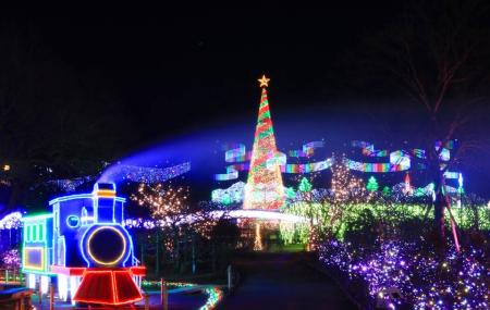 Ashikaga Flower Park Image