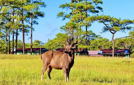 Phu Kradueng National Park Image