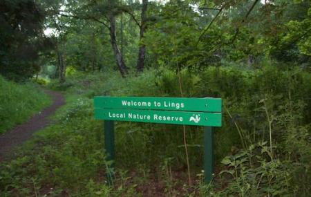 Lings Nature Reserve Image