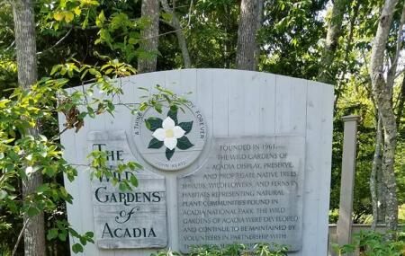 Wild Gardens Of Acadia Image