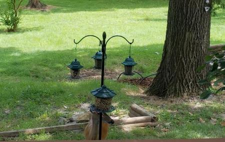 Tribesman Resort Image