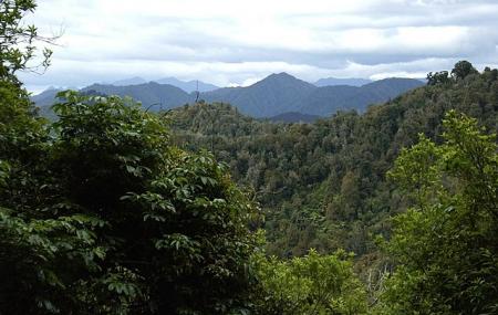 Te Urewera Image