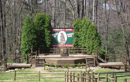 Gobbler's Knob Image