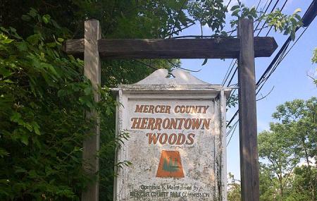 Herrontown Woods Arboretum Image