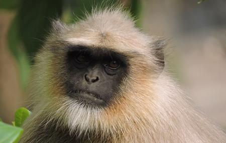 Yawal Wildlife Sanctuary Image